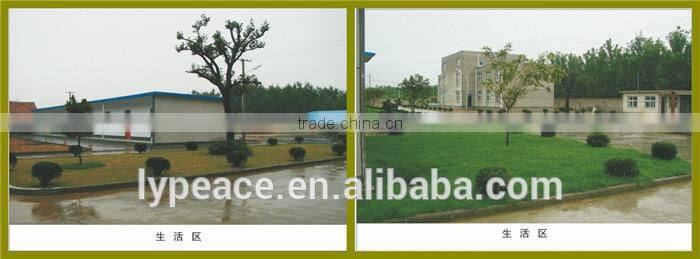 Pure Natural Delicious Flakes Dried Ginger Export Prices