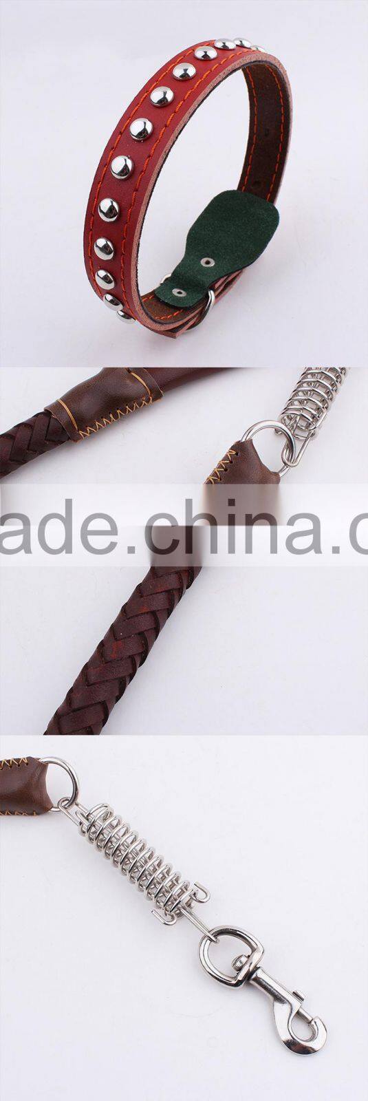 fashionable led dog collar with leash