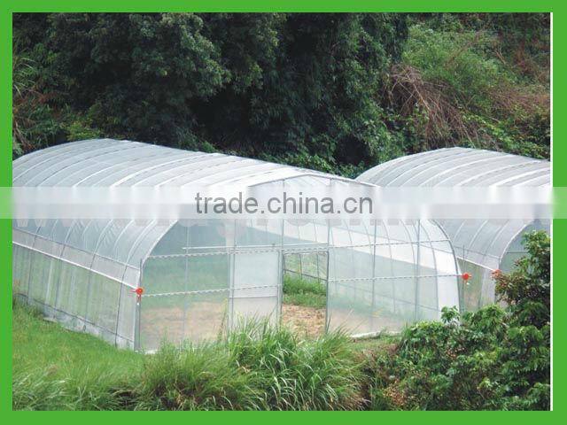 greenhouse with ventilation system from big greenhouse manufacturer in China