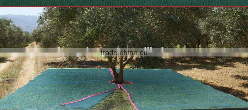 FOR FRUIT-GROWING HARVESTING NET