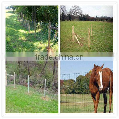 Wholesale alibaba China CE&ISO certificated metal animal farm fence panel (pro manufacturer)