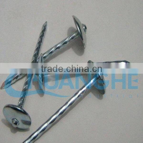 stainless steel roofing nails