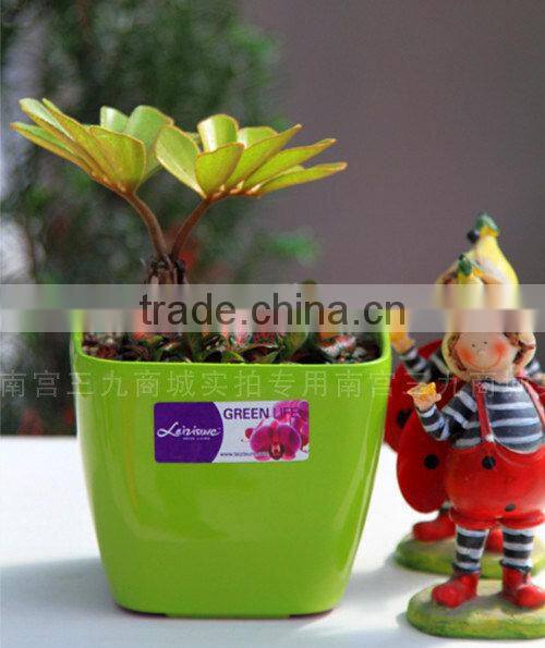 trough 1 gallon plastic pots