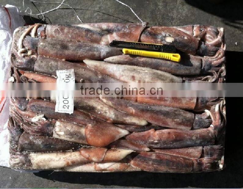 200-300g Frozen Illex Squid