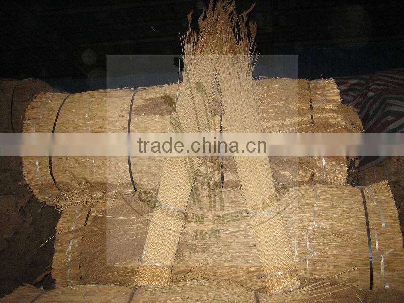 raw material water reed bundles for roof thatching