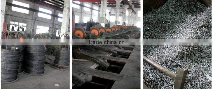 China factory supply coil nail rolling machine