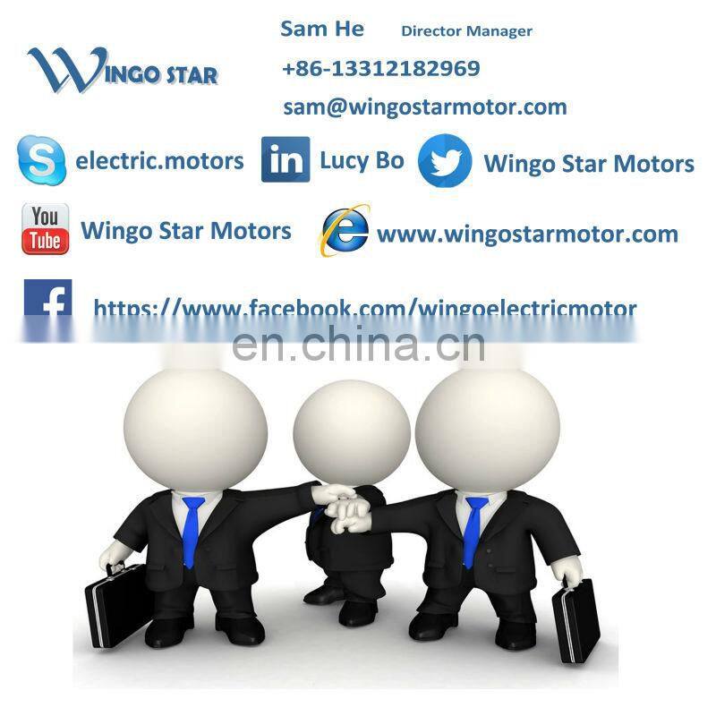 112m-4 electric motor
