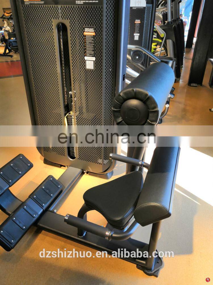 New arrival high quality gym exercise Back Extension machine commercial body building fitness equipment SES31