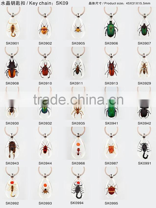 Real insect keychain with scorpion