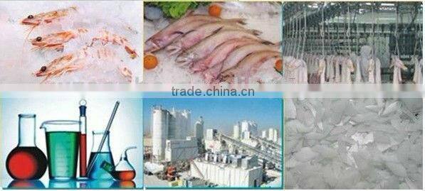 Small Flake Ice plant