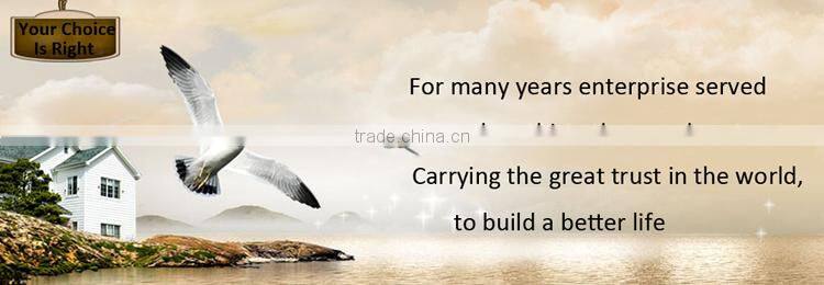 Gaivanised Precoated cold rolled steel coil gi ppgi