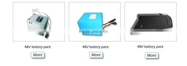 Small Lithium ion battery pack for ebike 36v 8.8ah dophine suit for 250w motor
