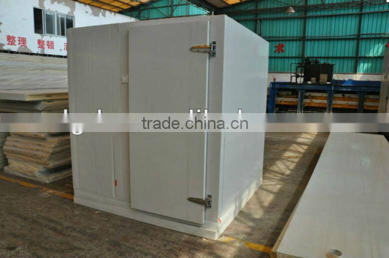 freezer room hinge door swing door with rubber