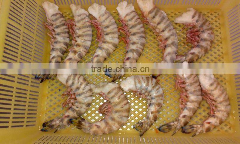 Zhoushan ship frozen marsupenaeus japonicus (shrimp kind)