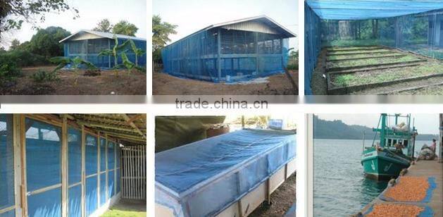 blue nylon net/pe farm net/pe screen fishing net/mosquito blue net/window screen net