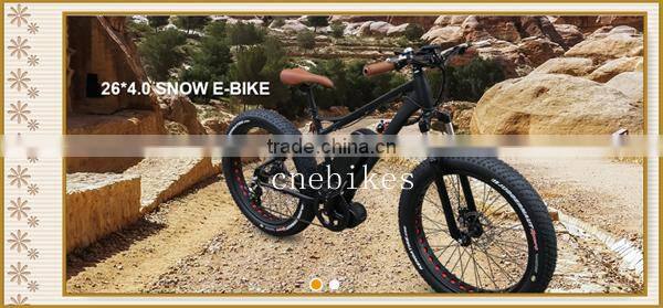 Bafang BBS03/Bbshd 48V1000W E Bike Kit with C965 displayer