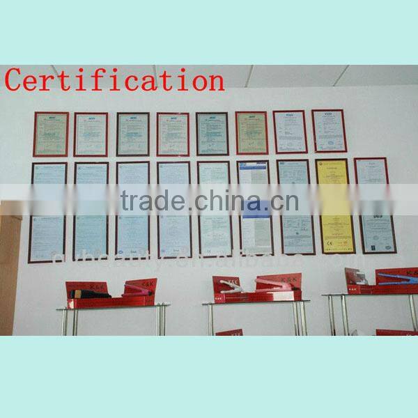 Ceramic coating plate Nano Ionic Hair Straightener with LCD