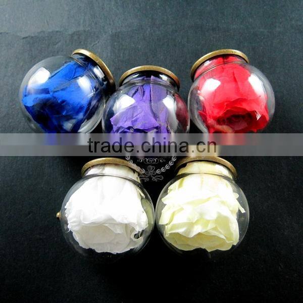 30mm glass dome pendant with red,purple,yellow,white,blue real preserved rose blossom flower lovers charm 1810395