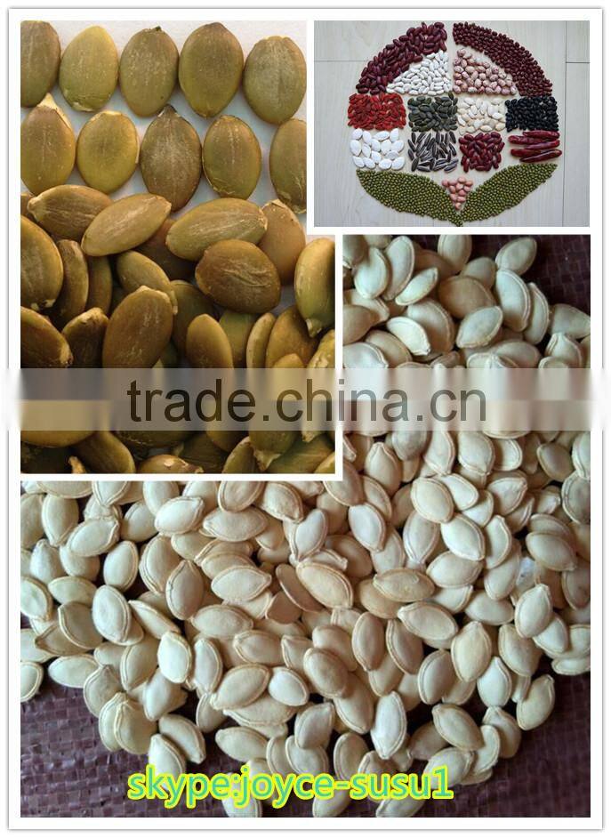 Shine Skin Pumpkin Seeds Kernels, grade A