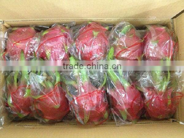 Fresh Dragon Fruit