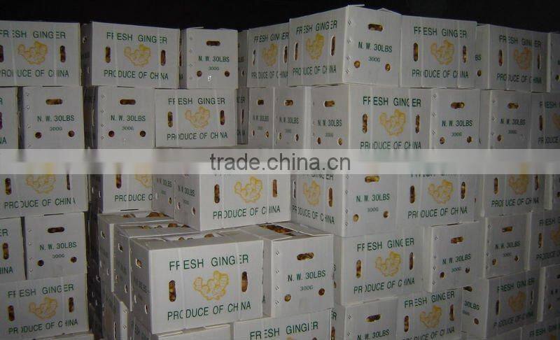 Sell Super ginger and top ginger