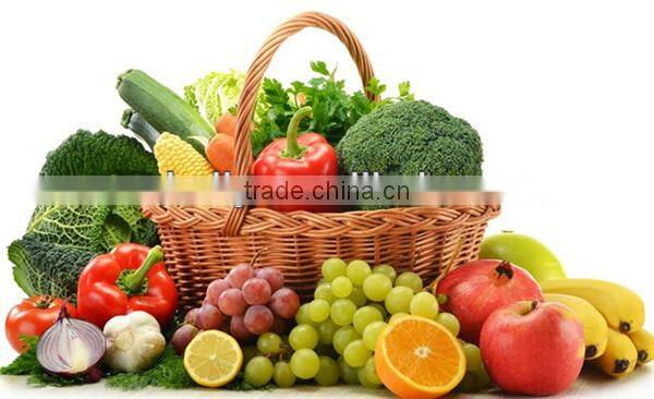 High quality fruit and vegetable dehydrator 0086-15037185761