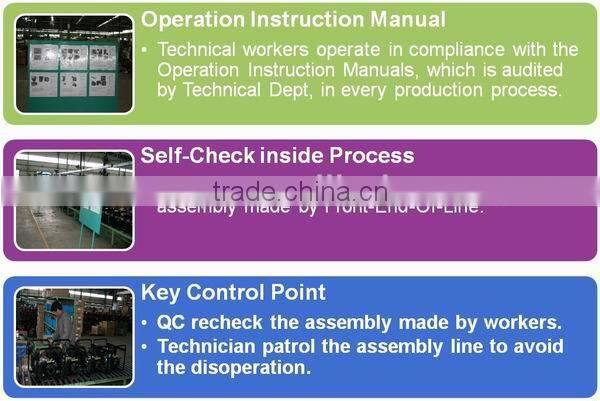 General Gasoline Engine 16hp Kick Start