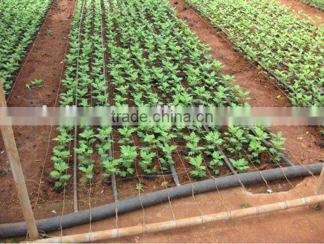 agricultural micro-irrigation plastic drip tape