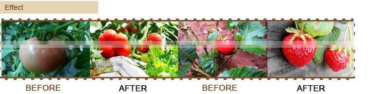 New Technology Good Service Water Soluble Sodium humate granule