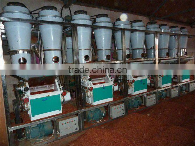 Chilli powder complete plant