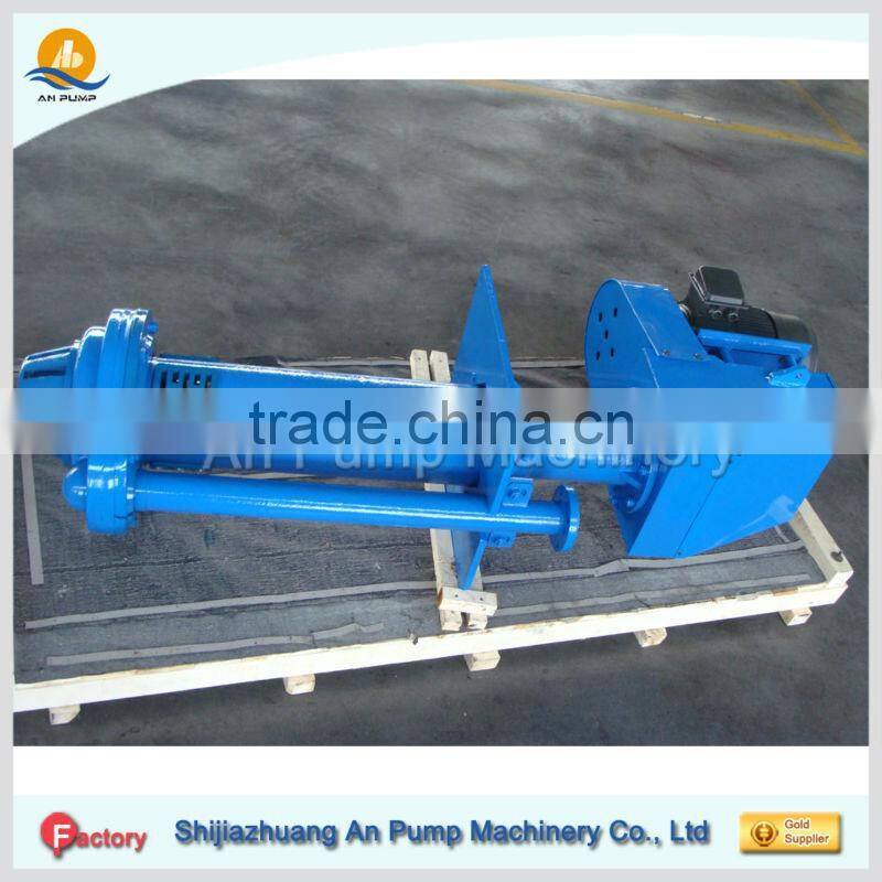 Sump pump with vertical immersion for wet pit