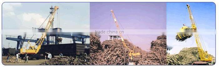 Wheeled Straight Boom Crane QLYS15DZ