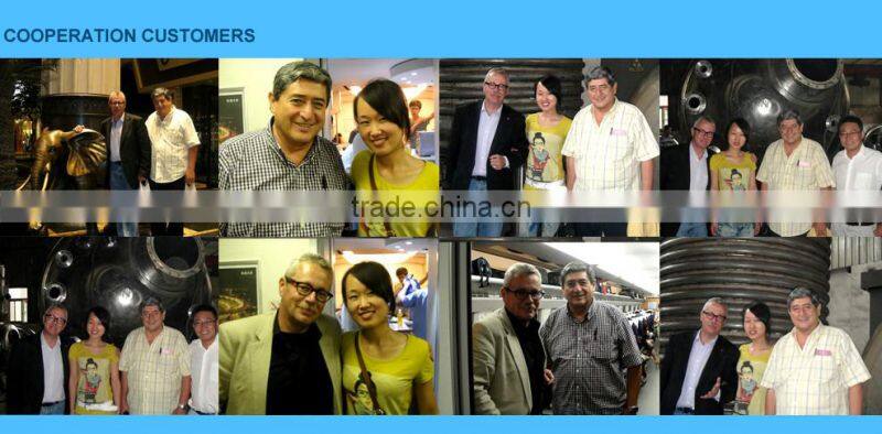 large storage wine tank&wine fermentation tank