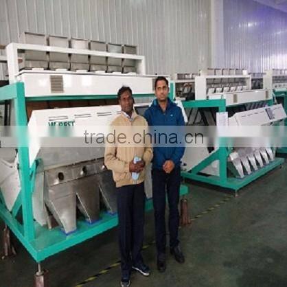 Anhui CCD Dry Vegetables And Fruit Color Sorter In China