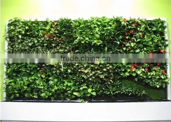 green wall with leaves/flowers/grass for decor