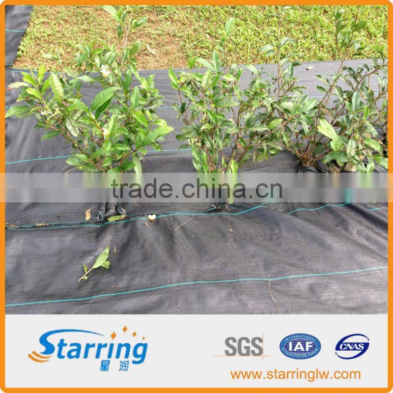 Woven PE Fabric Sheet