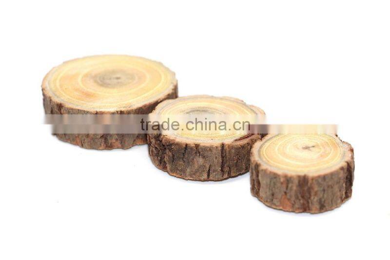 Natural Wooden Stump Fridge Magnet, Pine Wooden Fridge Magnet, Eco-friendly Wooden Fridge Magnet