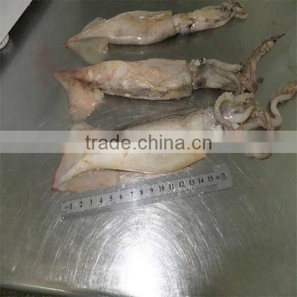 Frozen Baby Squid