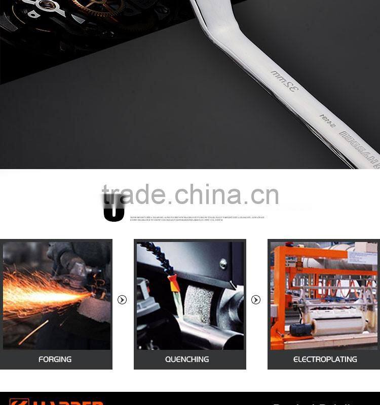 Professional CRV Ring Combination Spanner 10X12mm