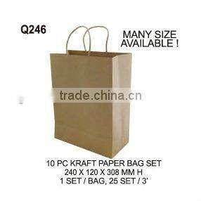 (Q245) 10 PC WHITE PAPER BAG SET