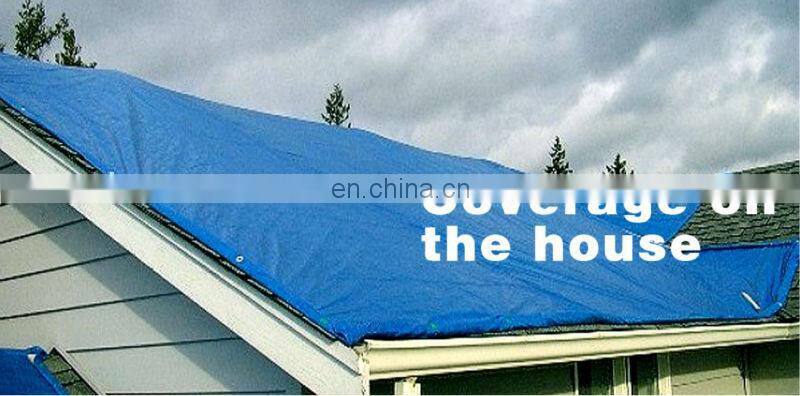 Tarp Tent Shelter Shade Tarpaulin Picnic Blanket Beach Mat Camping