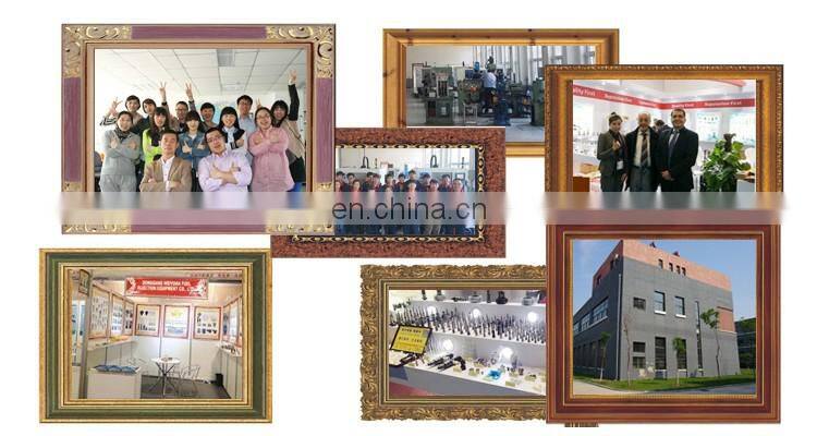 WEIYUAN Good price DLLA150P1828 diesel engine nozzle of common rail system for 0445120163/226