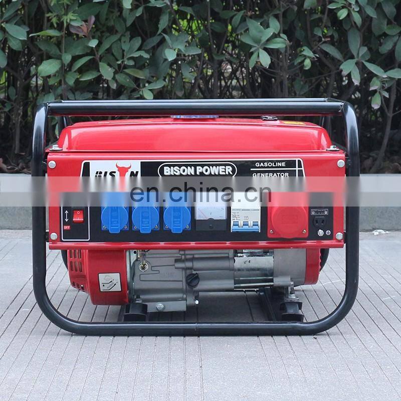 BISON(CHINA) Swiss Kraft SK 8500w Professional Gasoline Generators