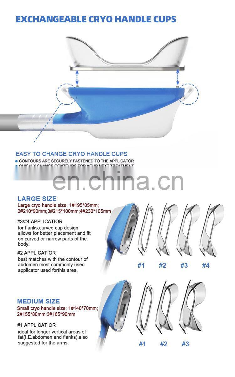 Criolipolisis Cryolipolysis Slimming Machine Portatil Cryolipolisis Machine Portable 2 Handles