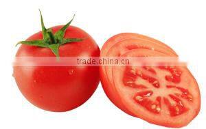 KH Professional QC teams tomato peeler