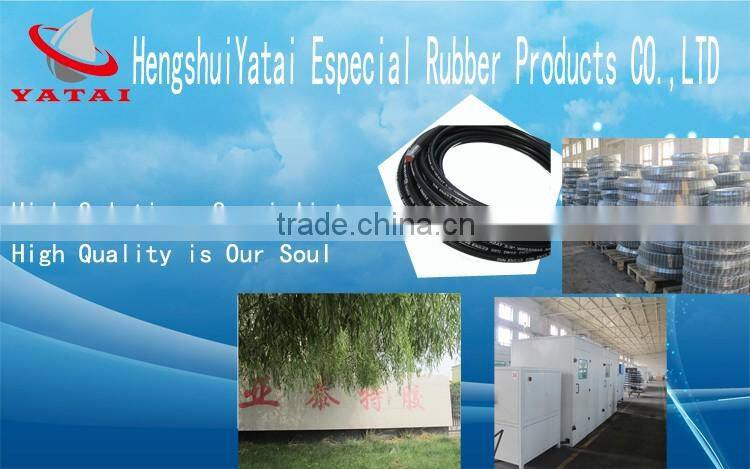 Stainless Steel Wire Braided Flexible Hose