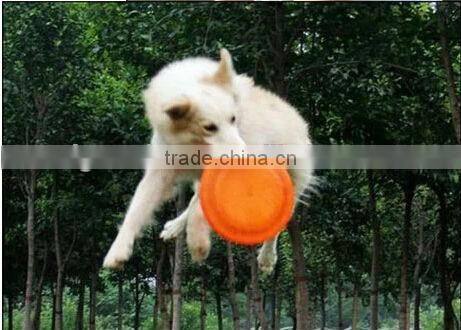 China supplier professional soft durable silicone frisbee for dogs