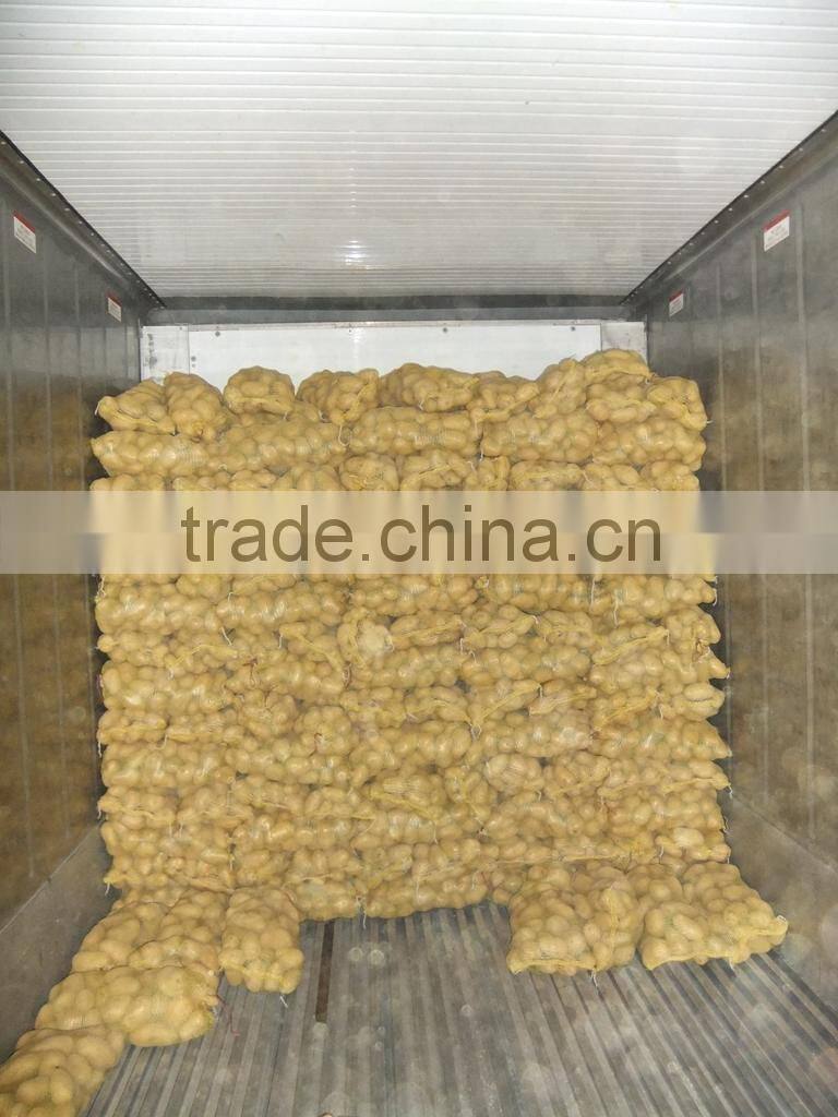 Chinese fresh potato price