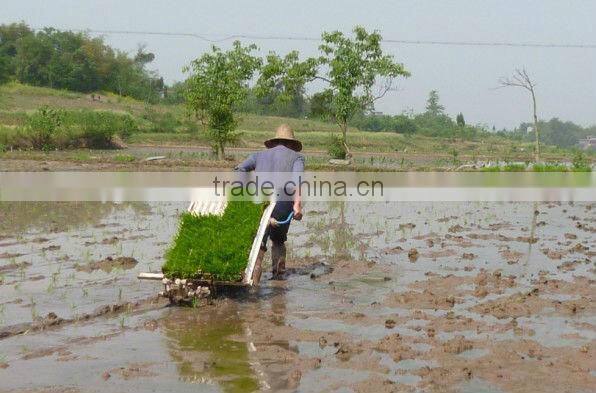 rice transplanter