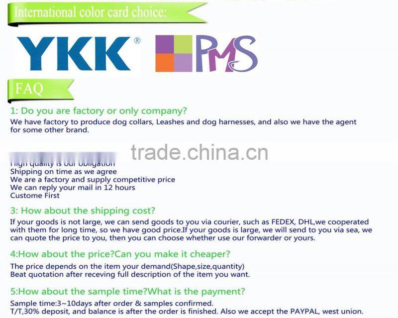 Blue Heart Egg Shaped Dog Bed, Pet Home with Washable Pillow